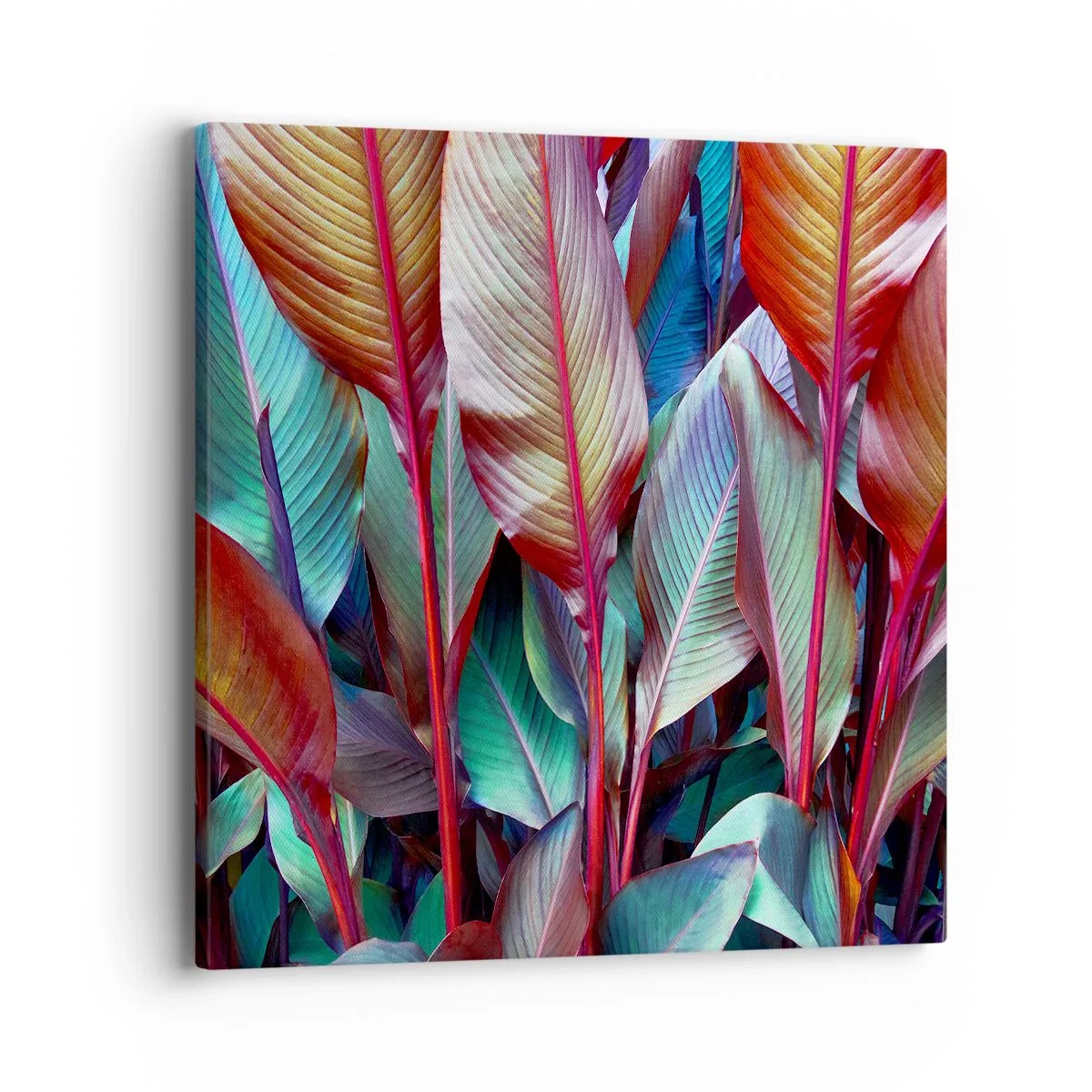 Vászonkép - Egy színes sűrű - 40x40 cm