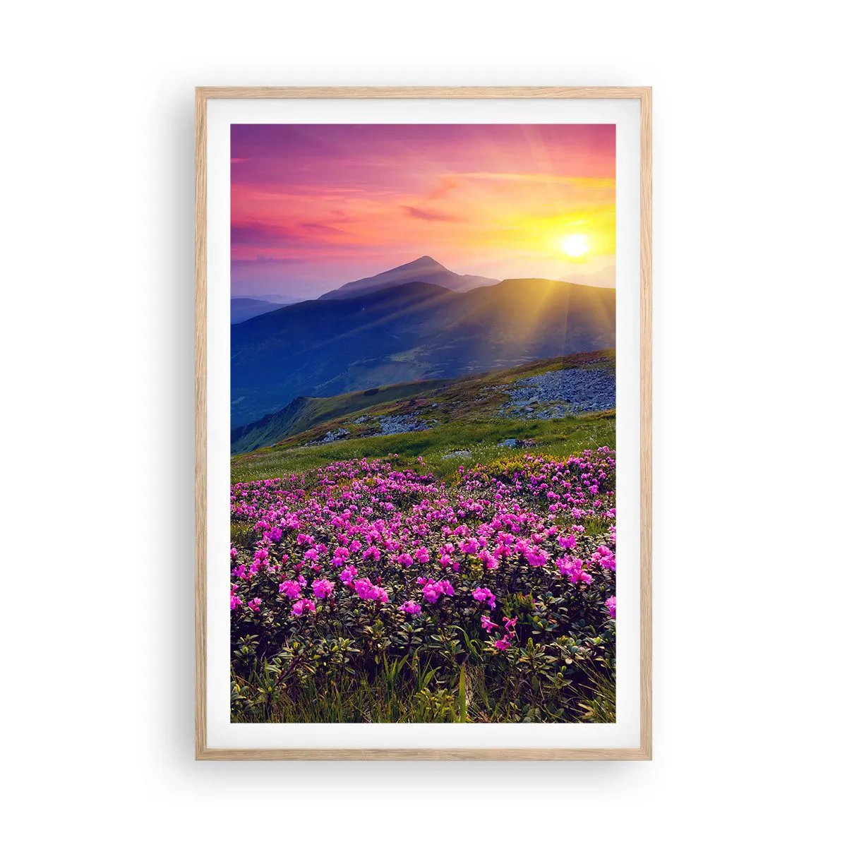 Poszter világos tölgy keretben - … És körülötte hegyi fenyő és gyógynövények illata - 61x91 cm