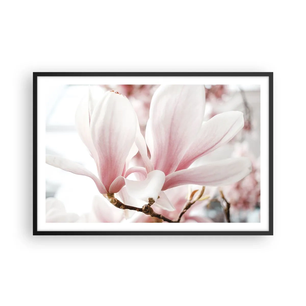 Poszter fehér keretben - Határtalan gyengédség - 91x61 cm