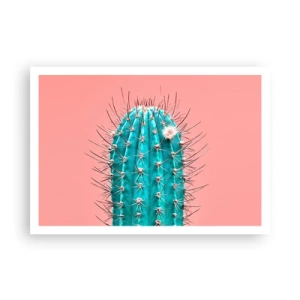 Poszter - Csak nézz - 100x70 cm