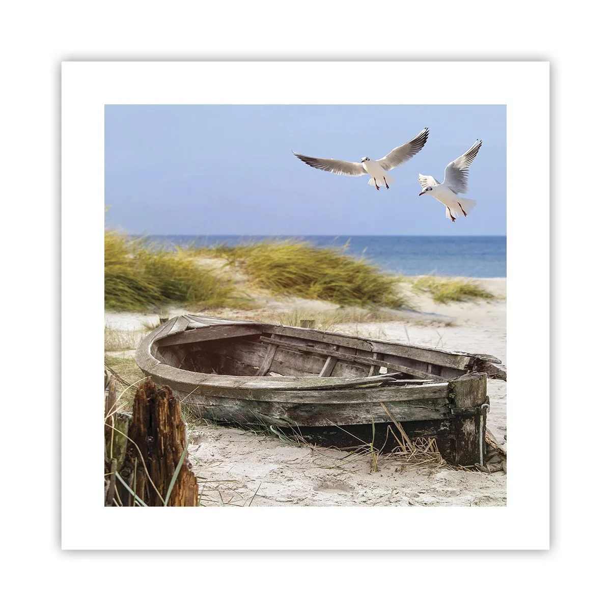 Poszter - Szélben fürödve - 40x40 cm