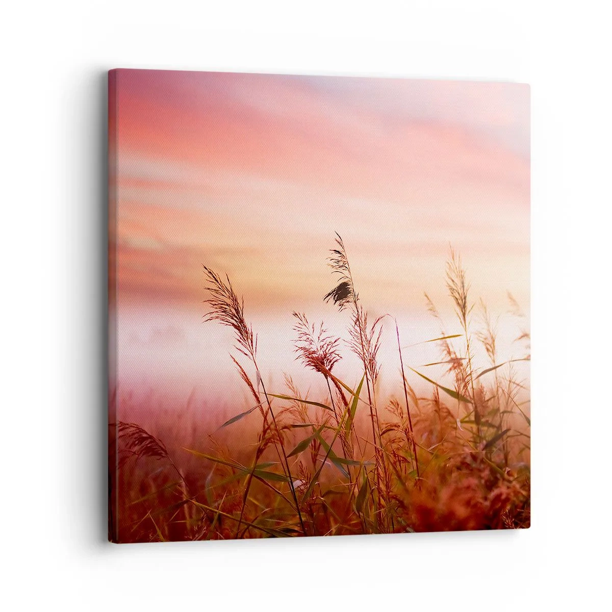 Vászonkép - Sárkányok, pitypangok, szél - 30x30 cm
