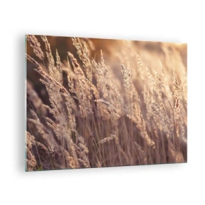 Üveg kép - Aranyló füvek, melyeket a lenyugvó nap sugarai világítanak meg - 70x50cm - Készen az ősz fogadására - Modern fali dekoráció nappalihoz és hálószobához ARTTOR