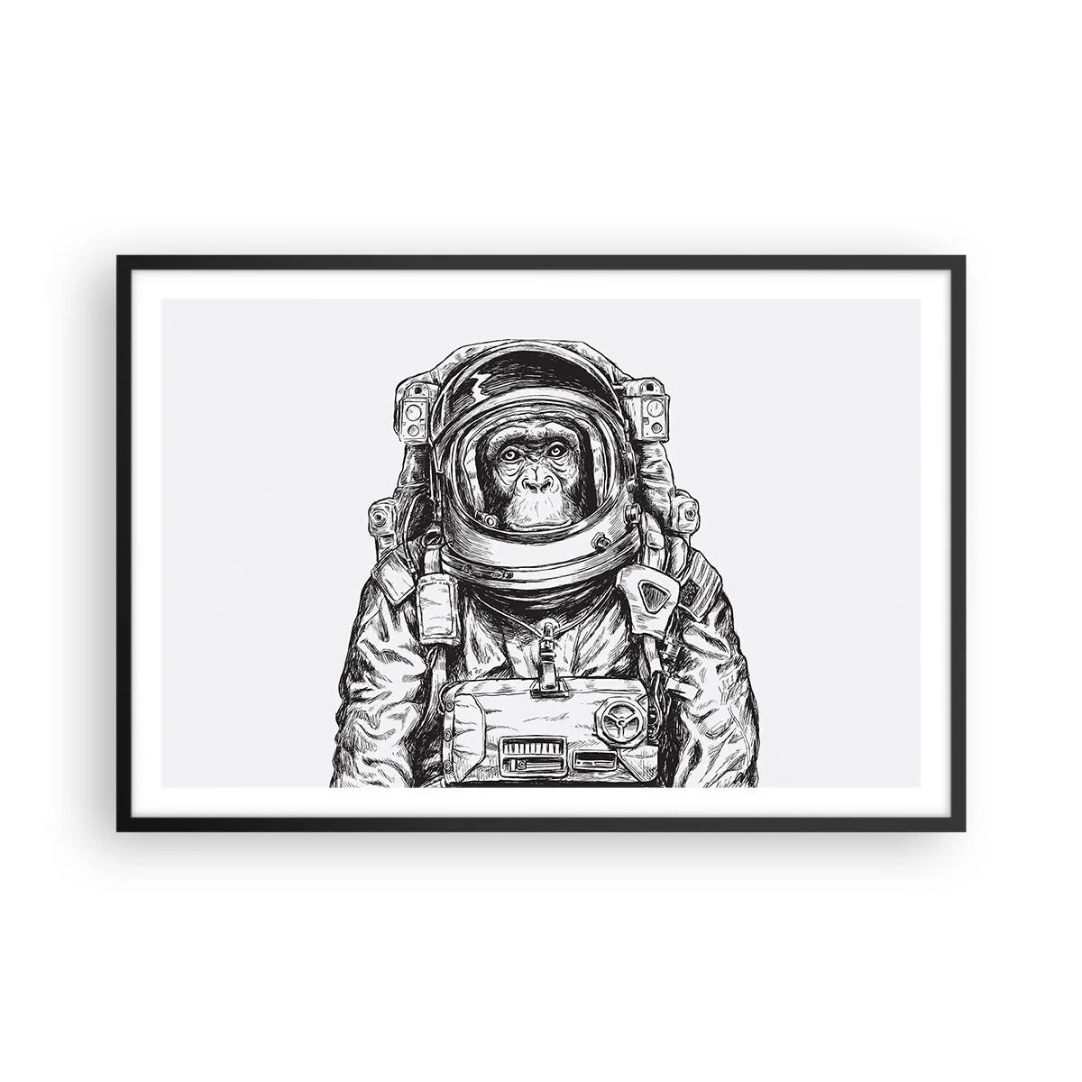 Poszter fehér keretben - Alternatív evolúció - 91x61 cm