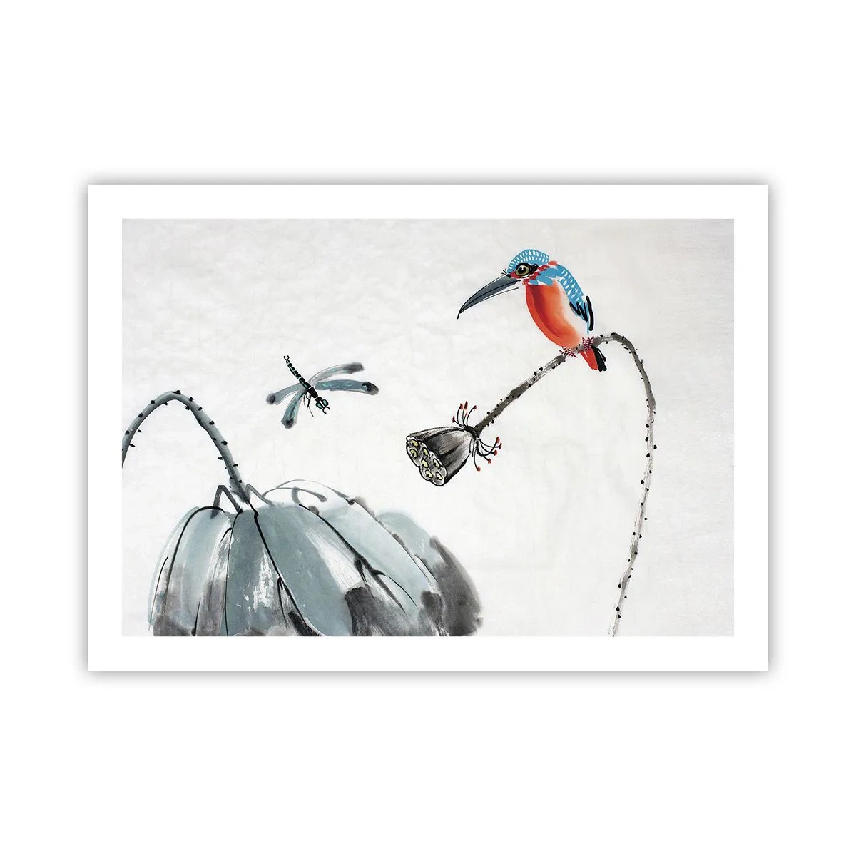 Poszter - A rét élete - 70x50 cm