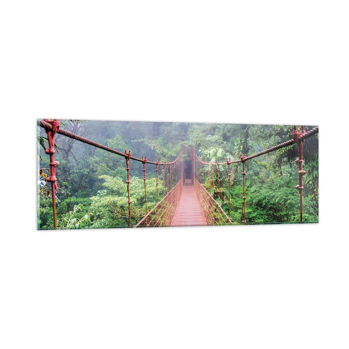 Üveg kép - A lomkoronák fölé függesztve - 90x30 cm