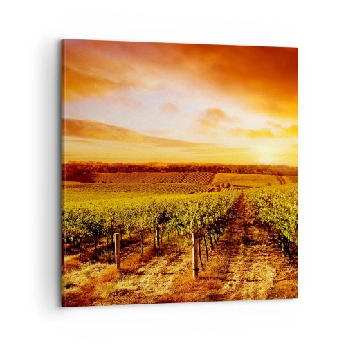 Vászonkép - Enyhén gyümölcsös, egy kis napfénnyel - 60x60 cm