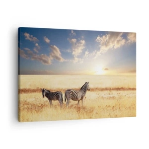 Vászonkép - Két zebra a szavannán a lenyugvó nap sugaraiban - 70x50cm - Menj el, ne zavard a békét - Modern fali dekoráció nappalihoz és hálószobához ARTTOR