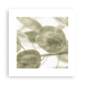 Poszter - Kezdetben levelek voltak... - 30x30 cm