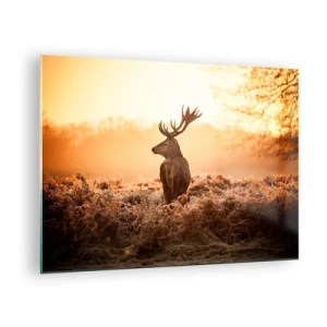 Üveg kép - Szarvas a napfelkelte hátterében egy természeti tájban - 70x50cm - A birtok ura - Modern fali dekoráció nappalihoz és hálószobához ARTTOR
