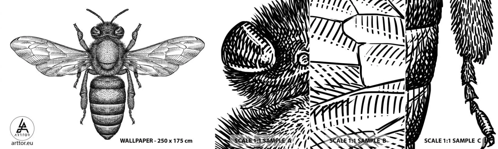 Fotótapéta Minta Öntapadós Deluxe Sticker - Rovar portré - Méh, Rovar, Minimalista - 100x30 cm