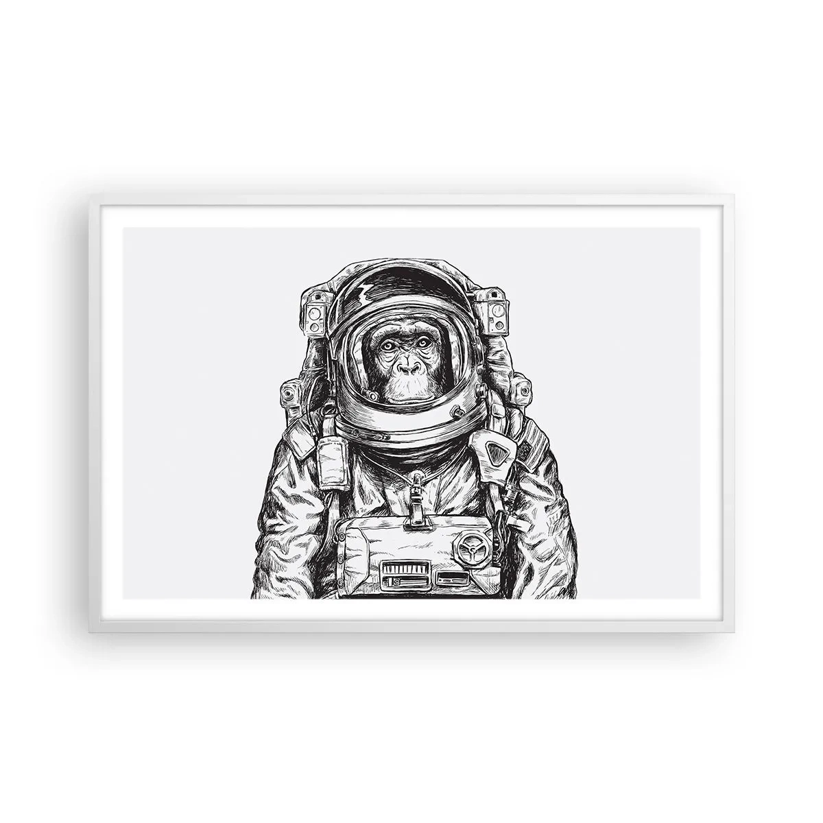 Poszter fekete keretben - Alternatív evolúció - 91x61 cm