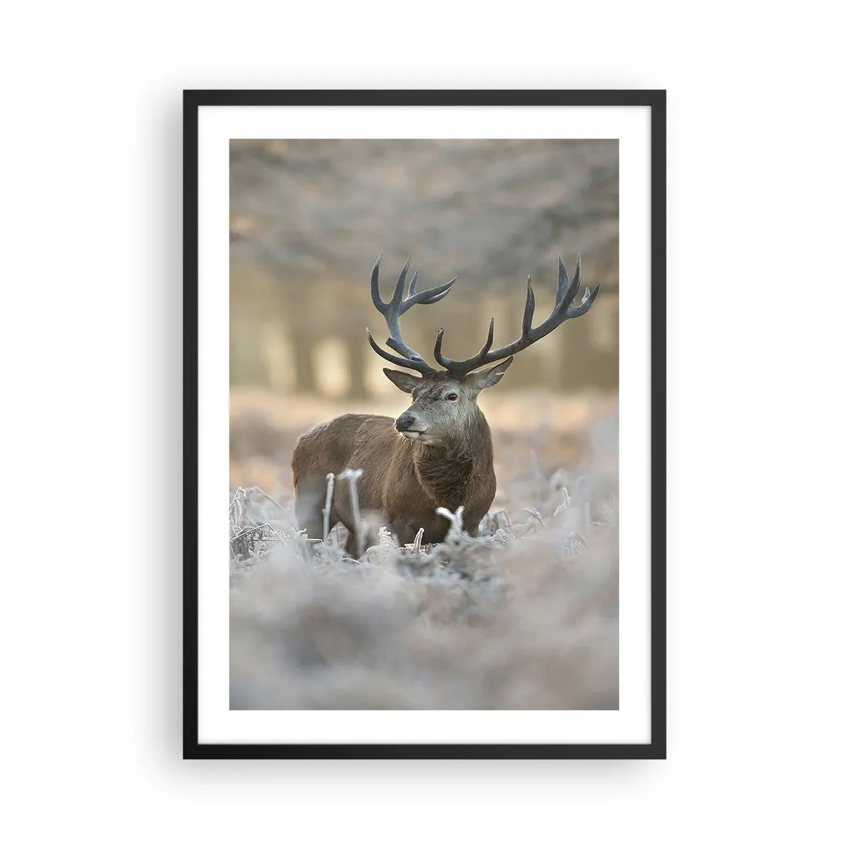Poszter fehér keretben - Egy méltóságteljes szarvas téli erdős környezetben - 50x70cm - Friss reggel - Modern fali dekoráció nappalihoz és hálószobához ARTTOR