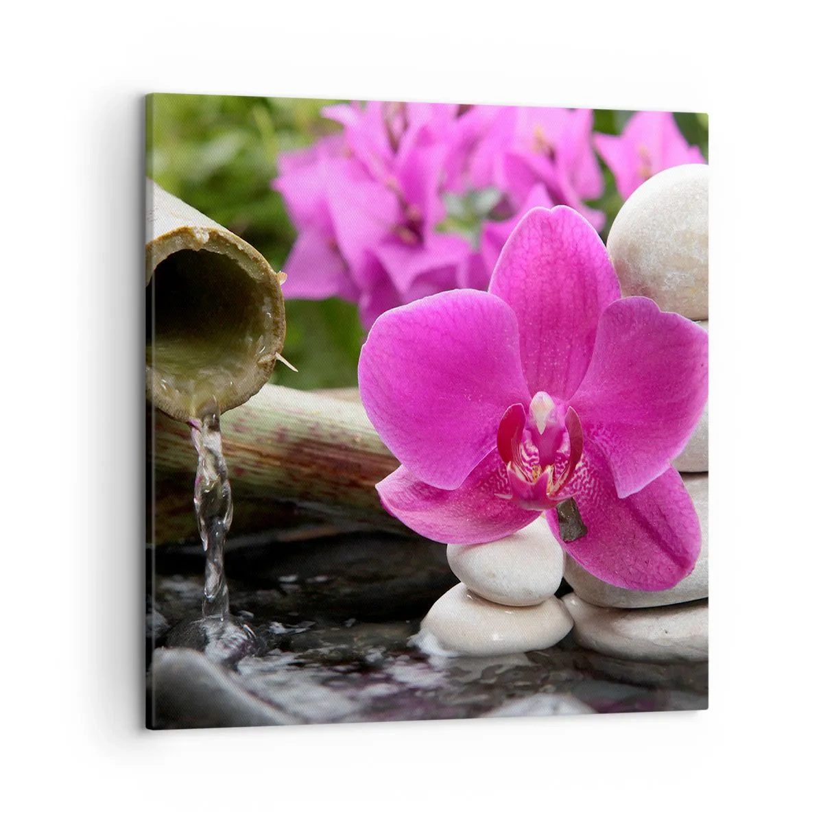 Vászonkép - Már pihensz - 50x50 cm