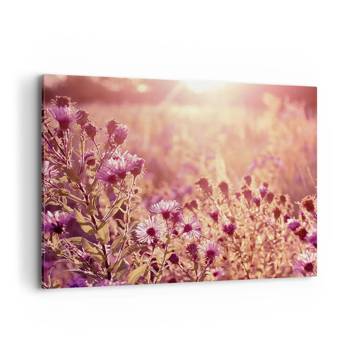 Vászonkép - A nyár elmúlás előtt - 100x70 cm