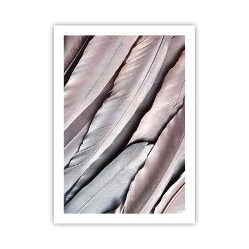 Poszter - Rózsaszín ezüstben - 50x70 cm