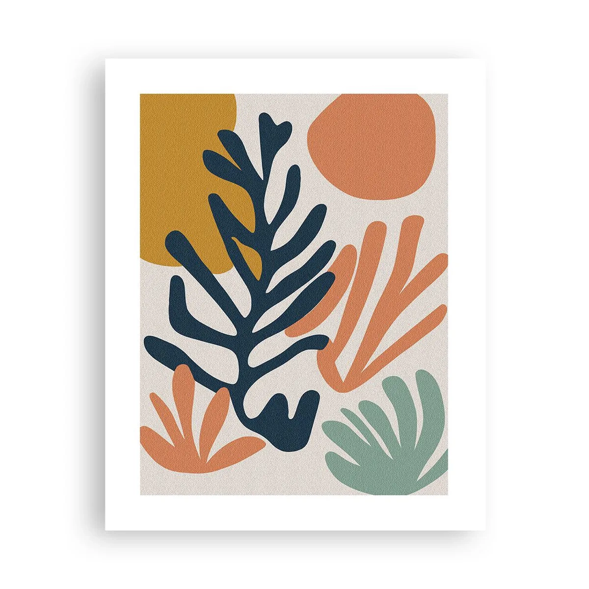 Poszter - Koralltengerek - 40x50 cm