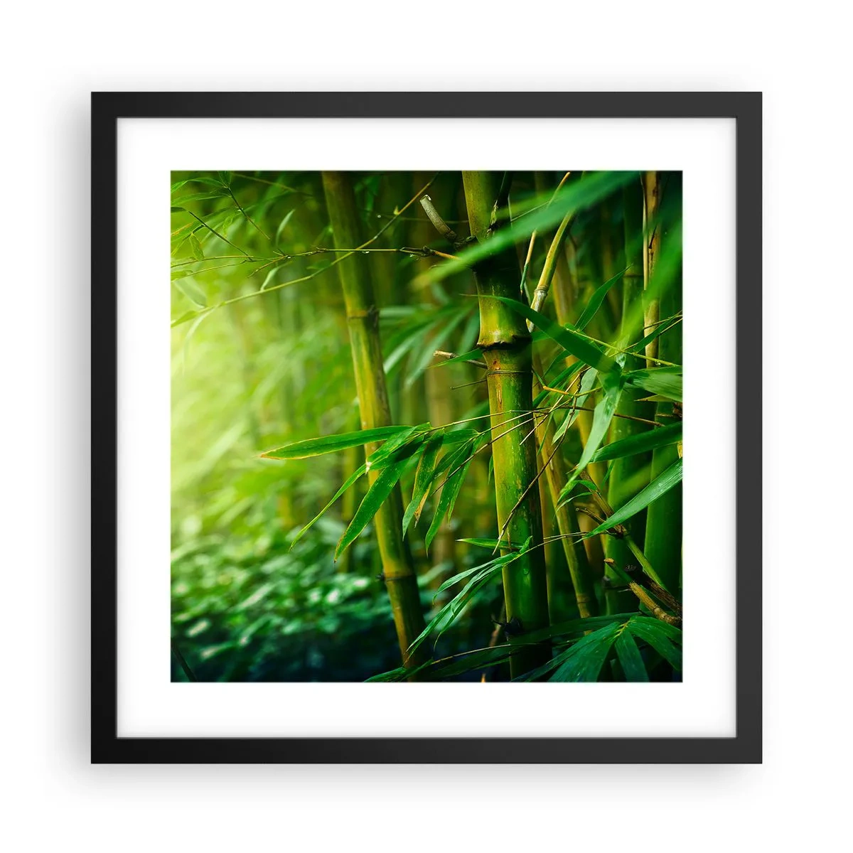 Poszter fehér keretben - Megismerni magát a zöldet - 40x40 cm