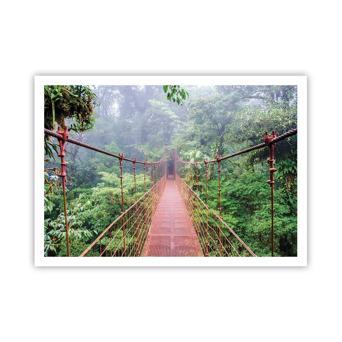 Poszter - A lomkoronák fölé függesztve - 100x70 cm