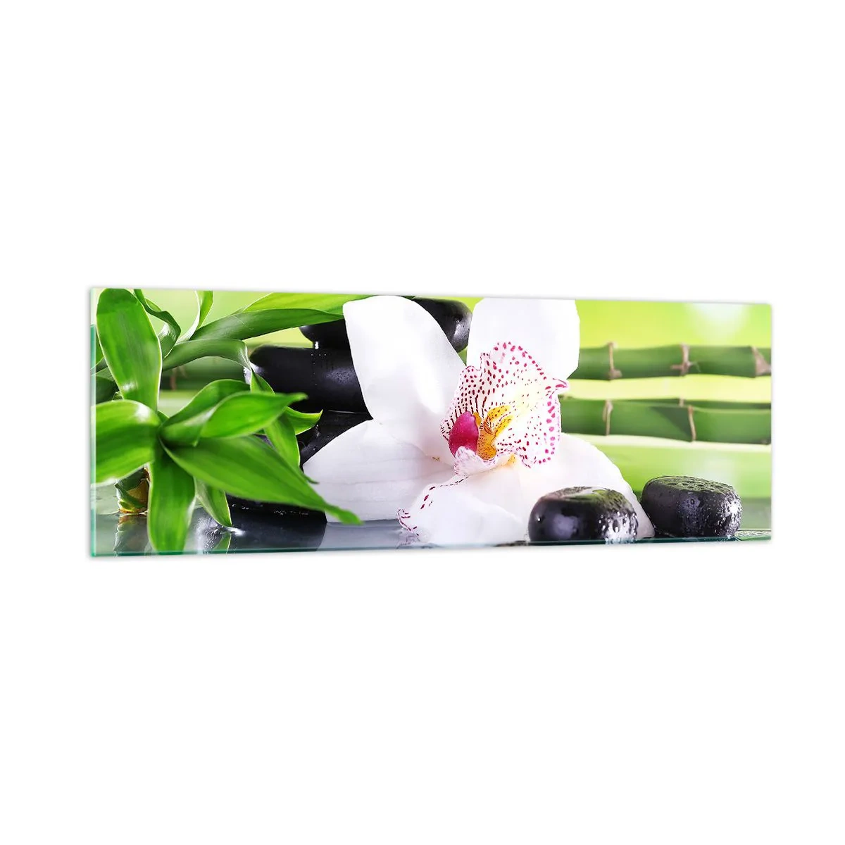 Üveg kép - Hűvös frissesség - 90x30 cm