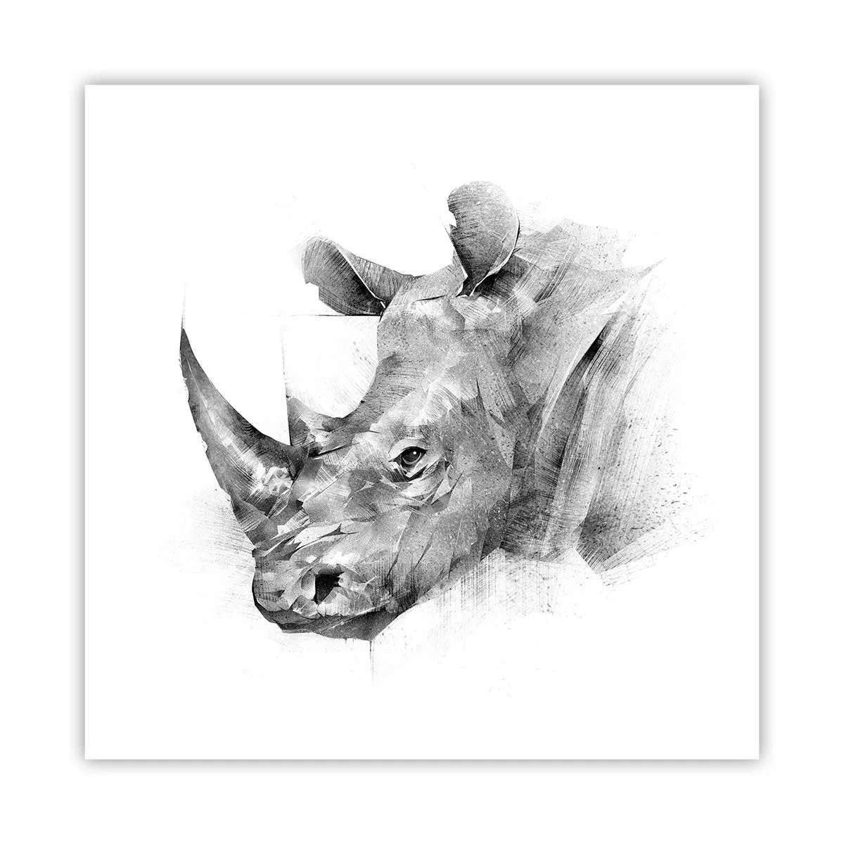 Poszter - Afrikai portré - 60x60 cm