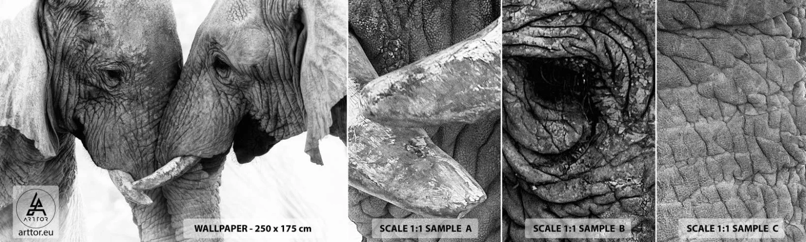 Fotótapéta Minta Standard Eco - Szívélyes vallomás - Elefánt, Állatok, Afrika - 100x30 cm