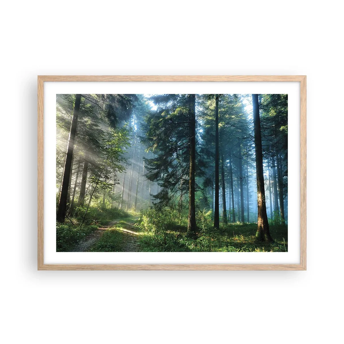 Poszter világos tölgy keretben - Sugárzó reggel - 70x50 cm