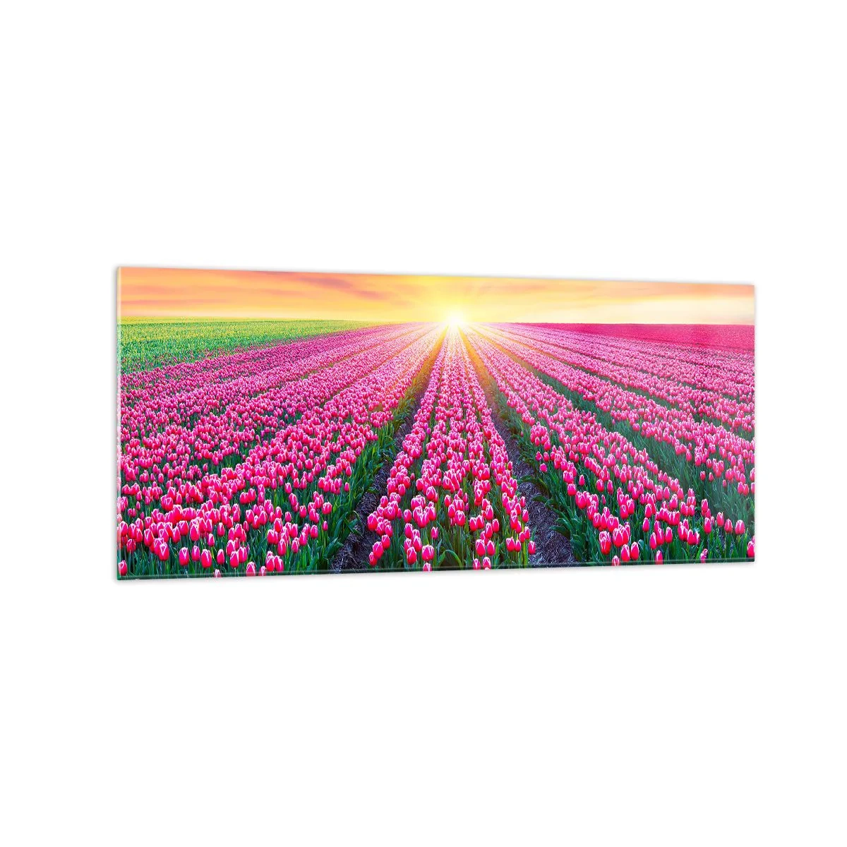 Üveg kép - Gyönyör farm - 120x50 cm