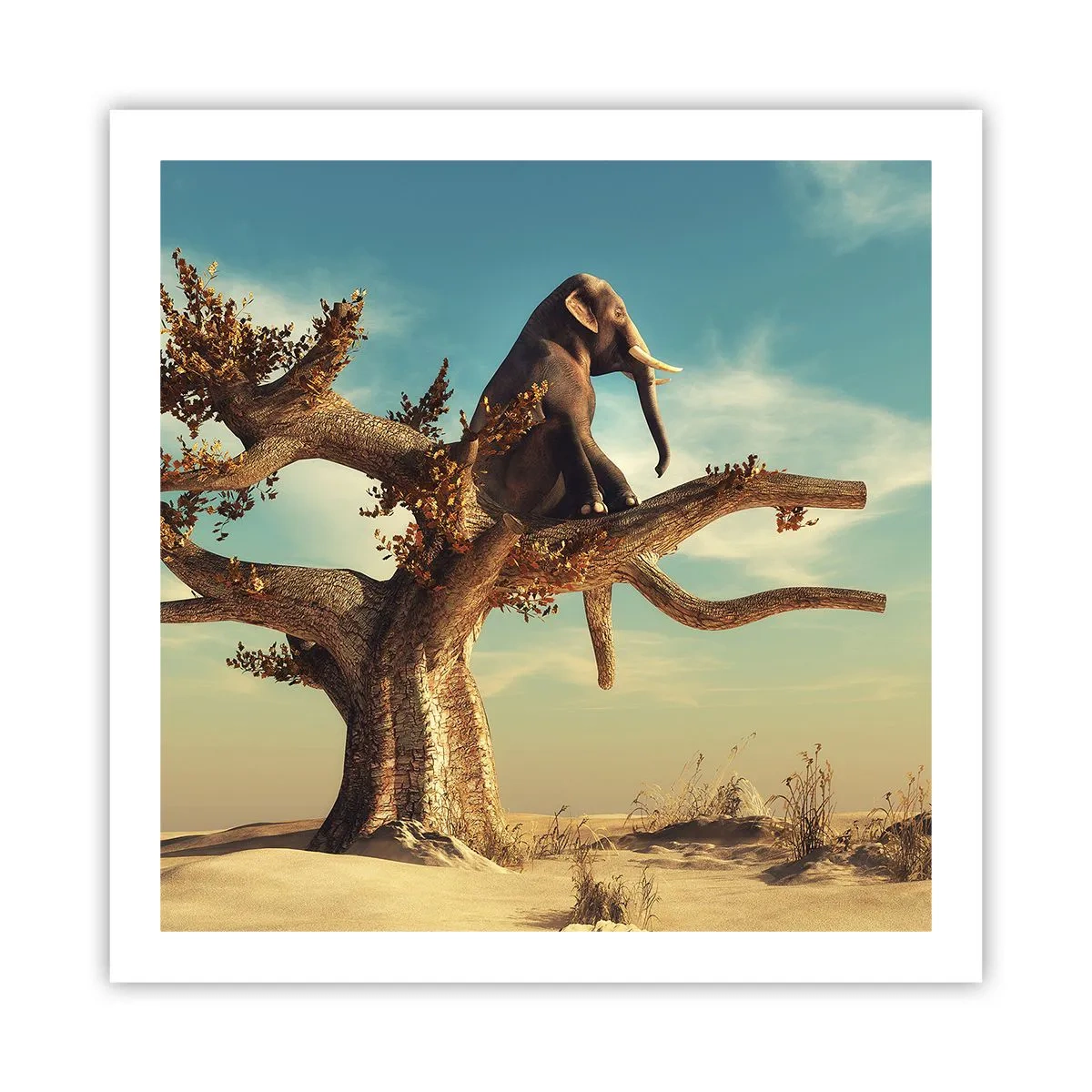 Poszter - Egy új nézőpont - 60x60 cm