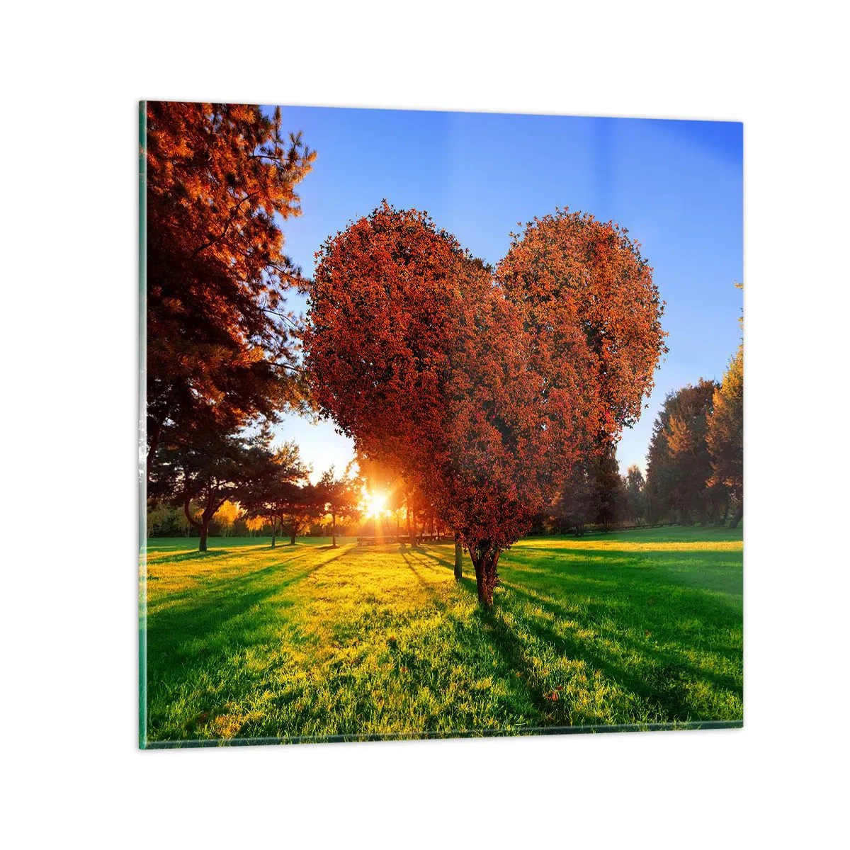 Üveg kép - És hogyan ne szeressük az őszt - 70x70 cm