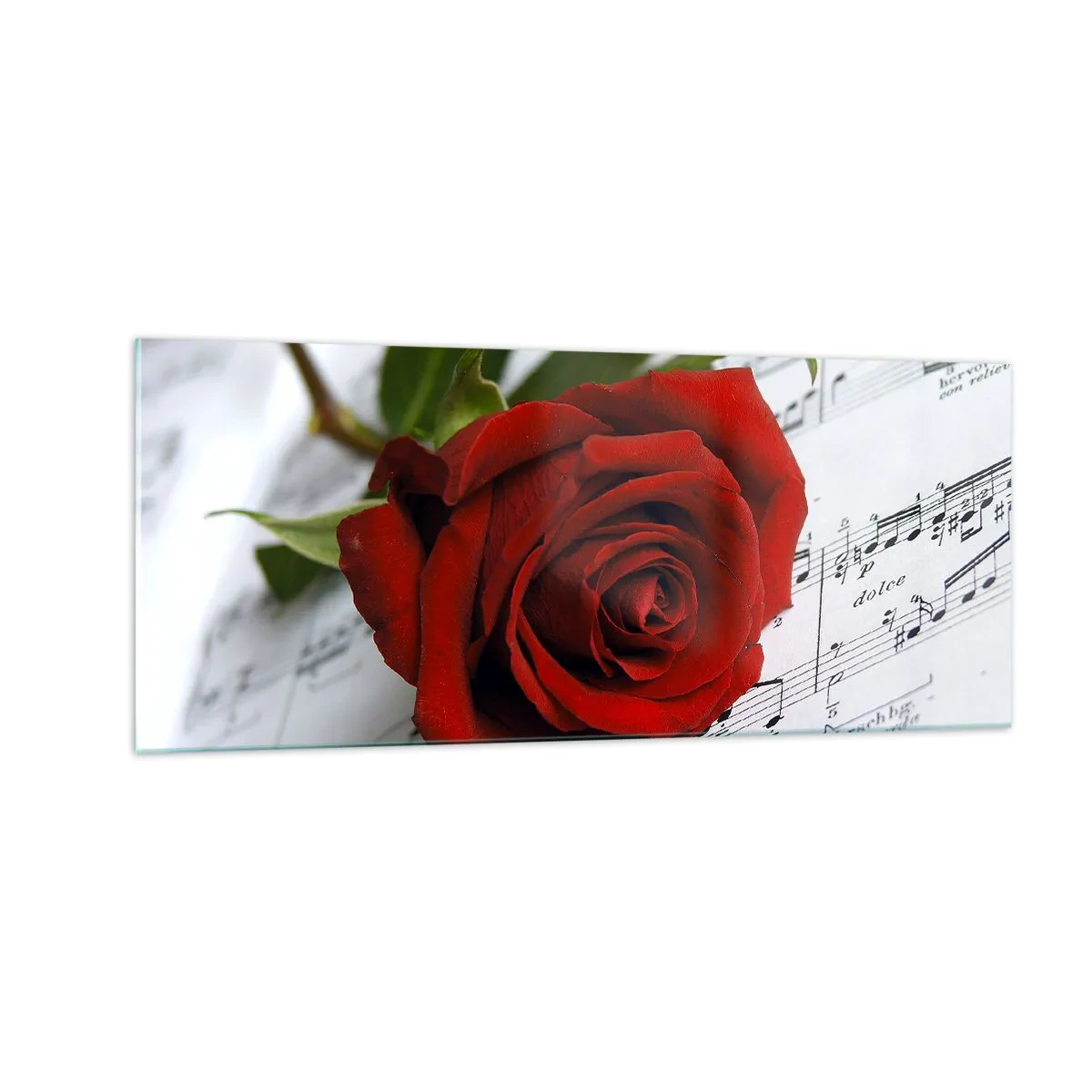 Üveg kép - Érzések zenéje skarlátvörös színben - 100x40 cm