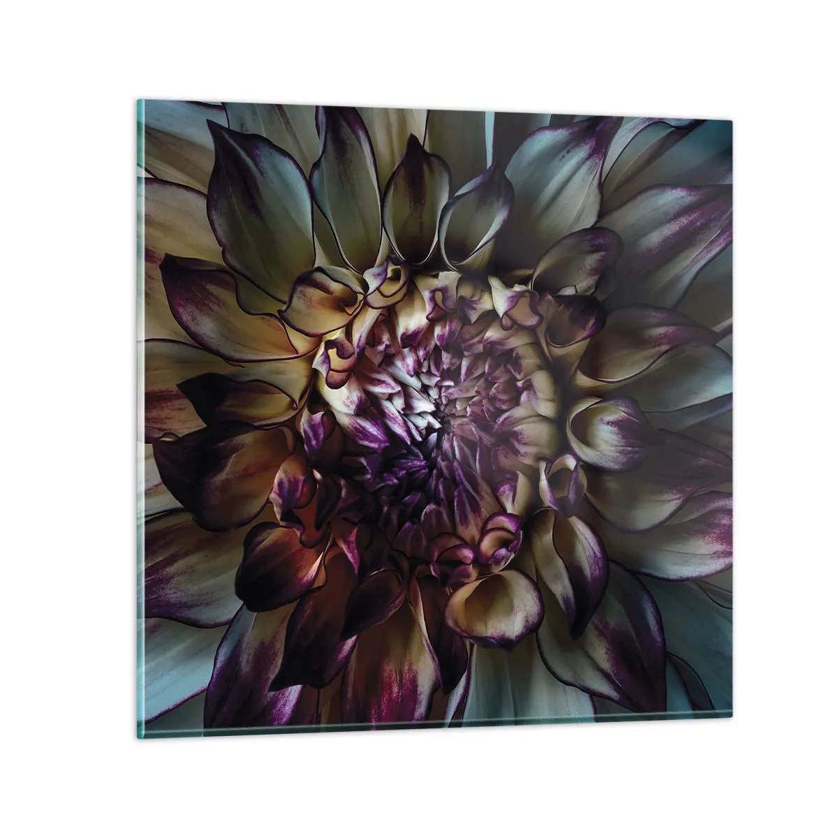 Üveg kép - A fiatalság kivirágzása - 60x60 cm