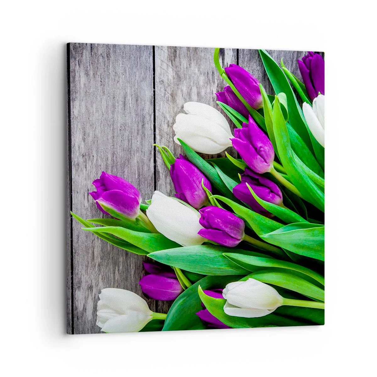 Vászonkép - Egy tavaszi ünnep napján - 50x50 cm