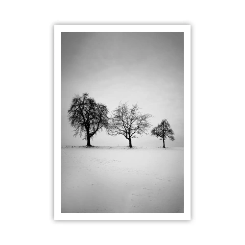 Poszter - Miről álmodoznak? - 70x100 cm