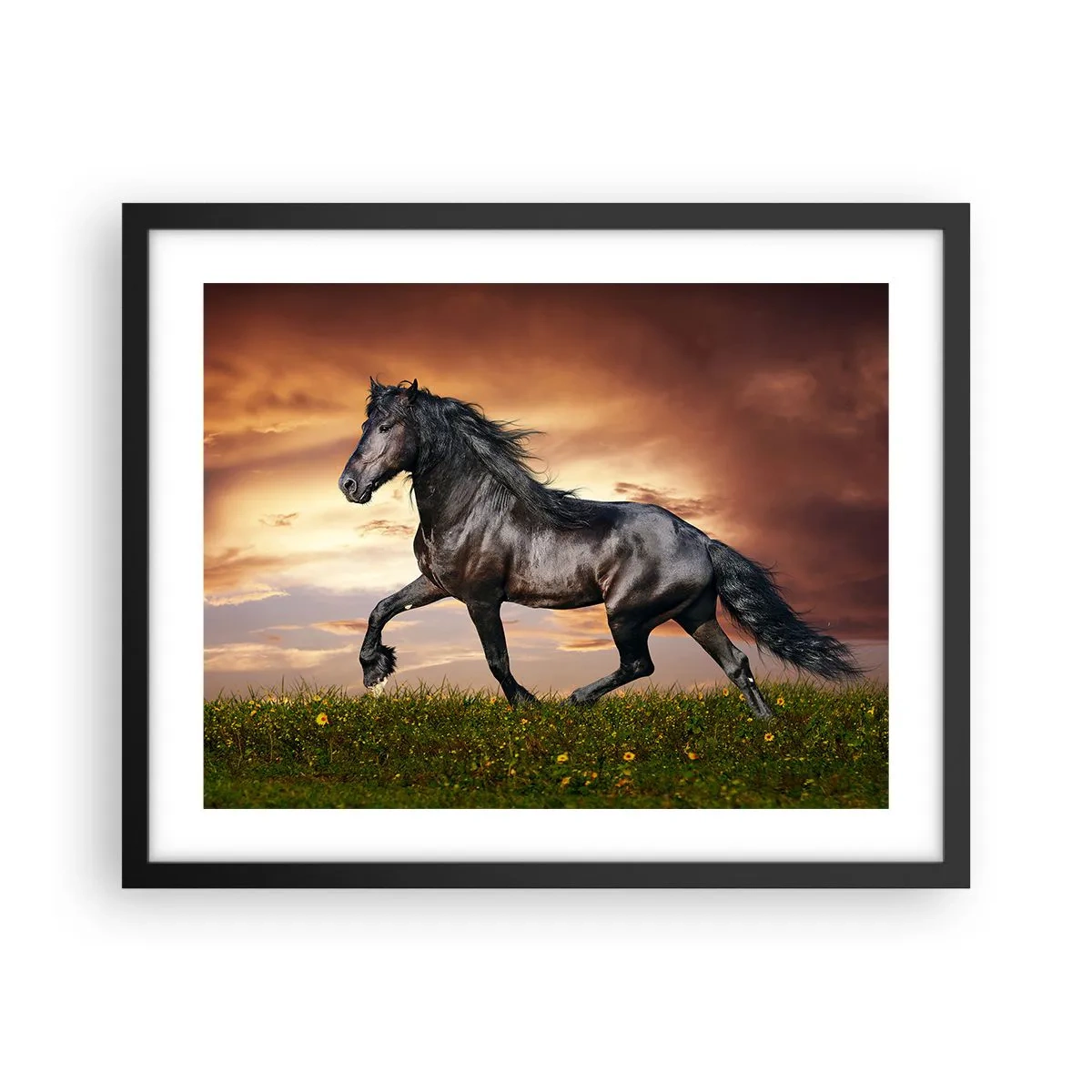 Poszter fehér keretben - Fekete herceg - 50x40 cm