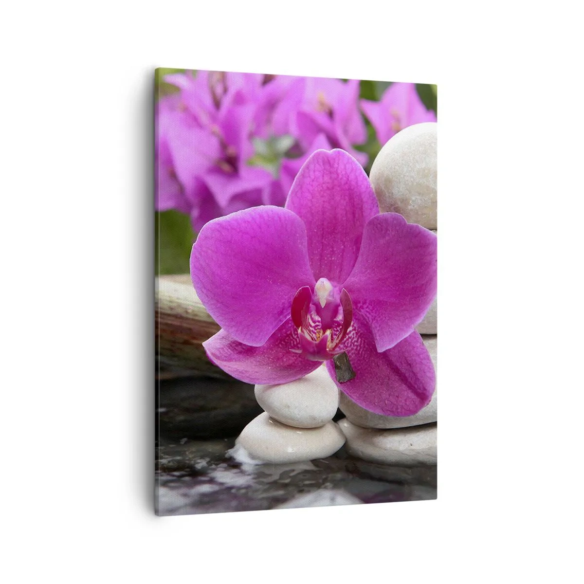 Vászonkép - Már pihensz - 50x70 cm