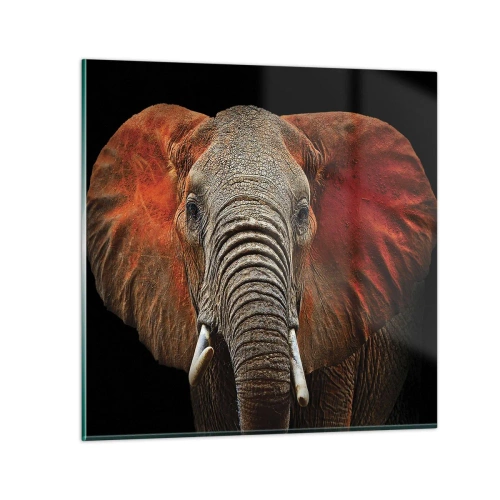 Üveg kép - Én vad vagyok, és te? - 30x30 cm