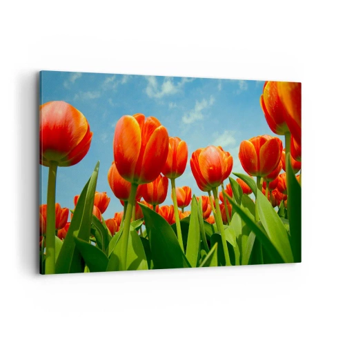 Vászonkép - A kék égen kívül semmire sincs szükségük az életükben - 120x80 cm