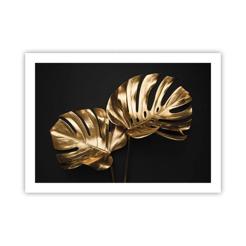 Poszter - A természet kincsei - 70x50 cm