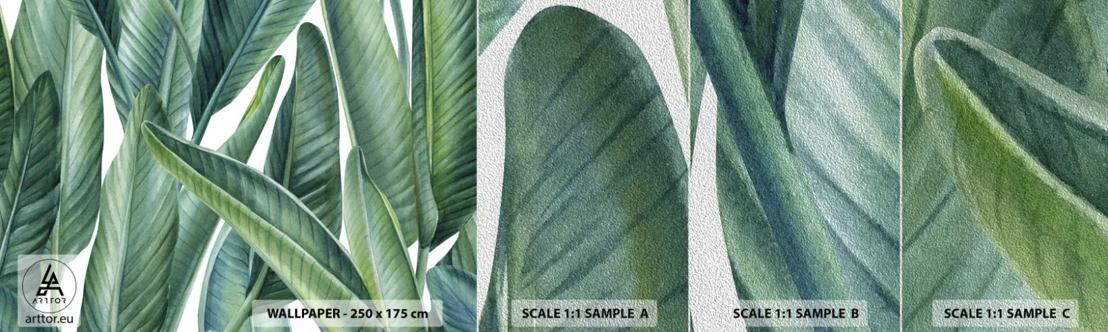 Fotótapéta Minta Premium Sand - Zöld önmagában - Zöld levelek, Trópusi növény, Természet - 100x30 cm