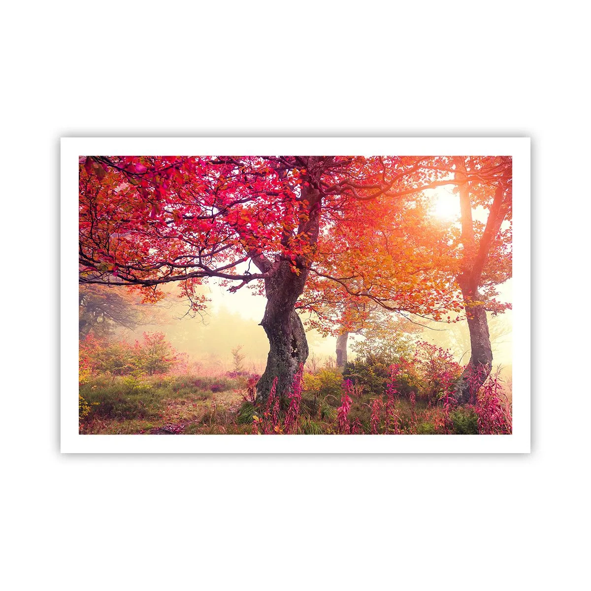 Poszter - Virágzás őrülete - 91x61 cm