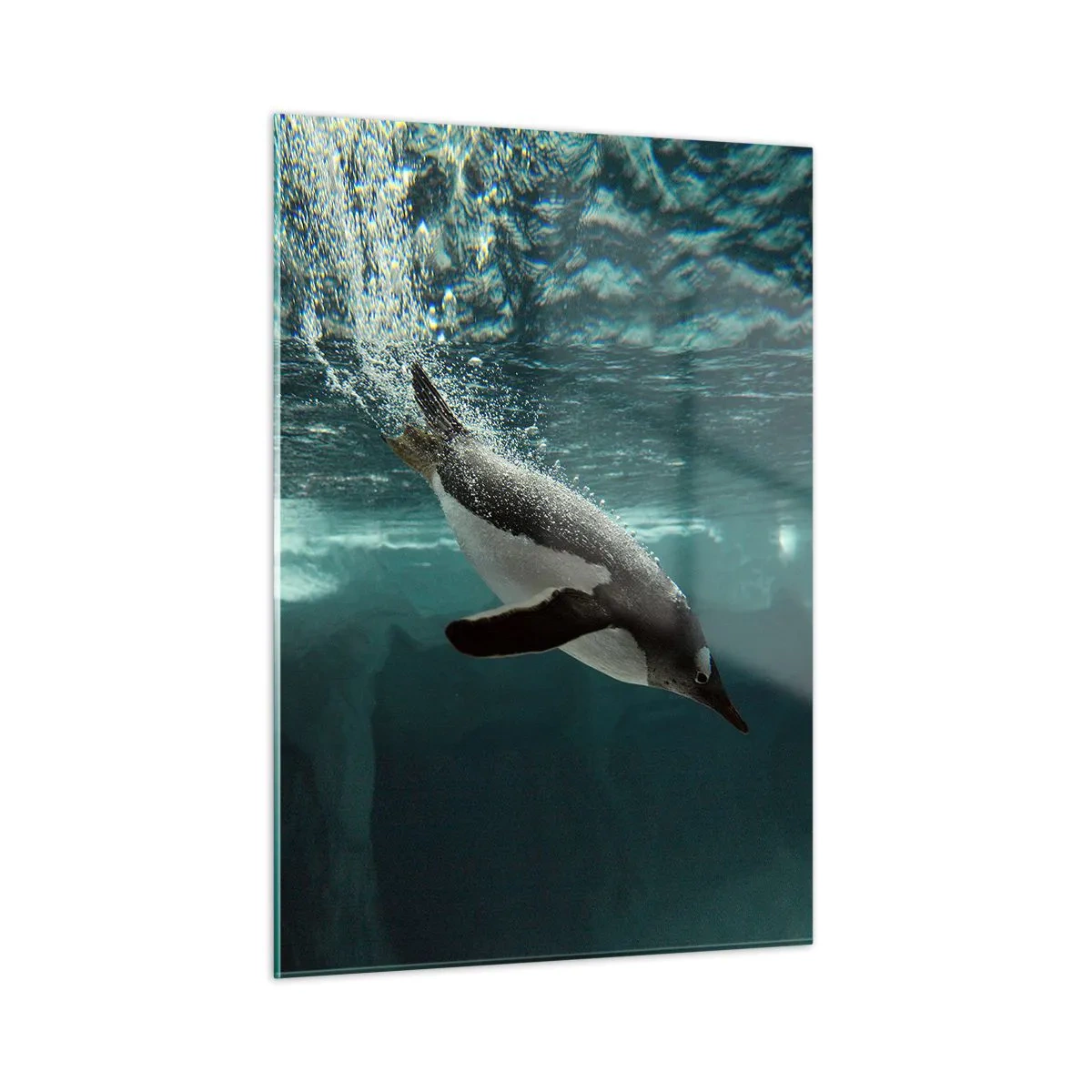 Üveg kép - Üdv a világomban - 50x70 cm