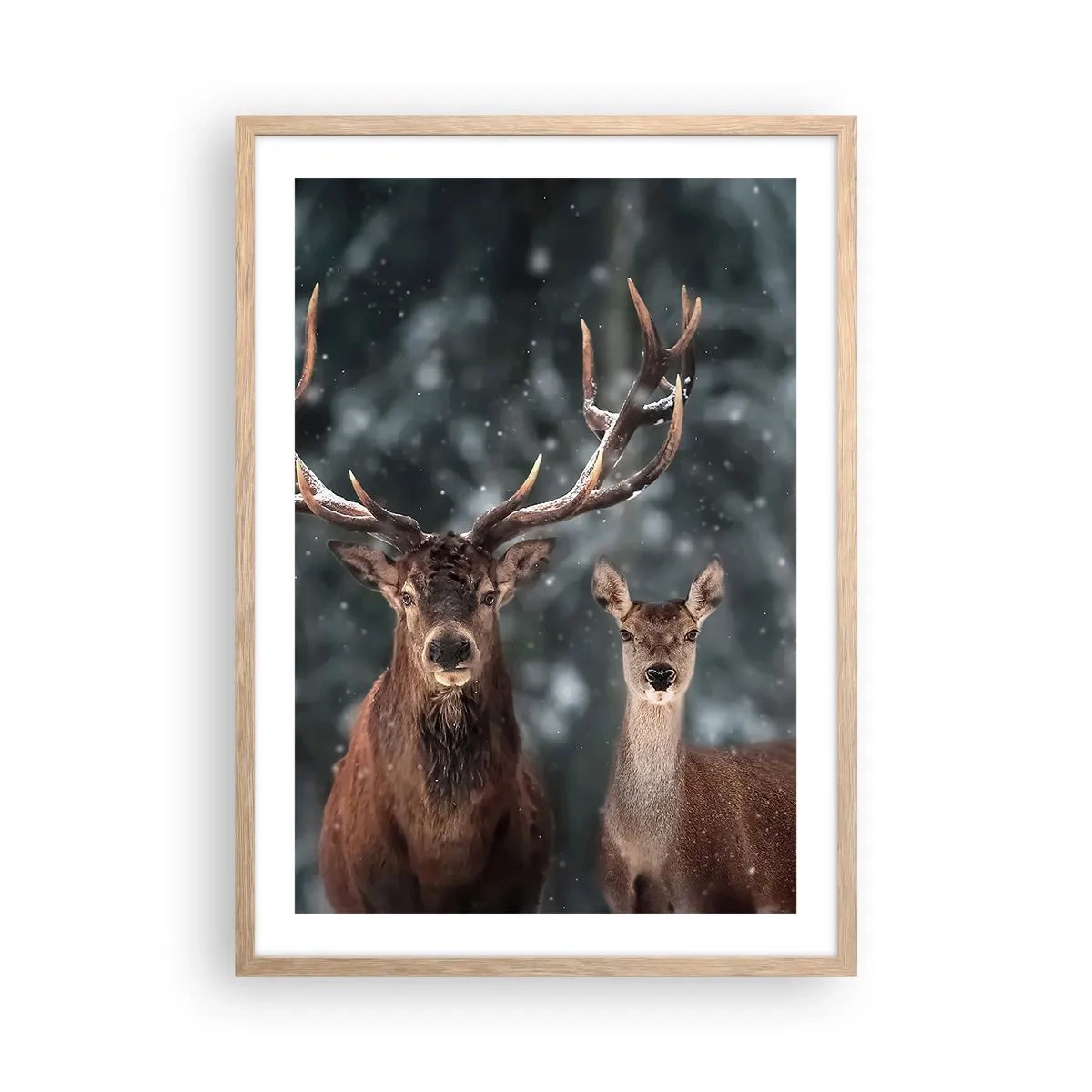 Poszter világos tölgy keretben - Az erdő ura a feleségével - 50x70 cm