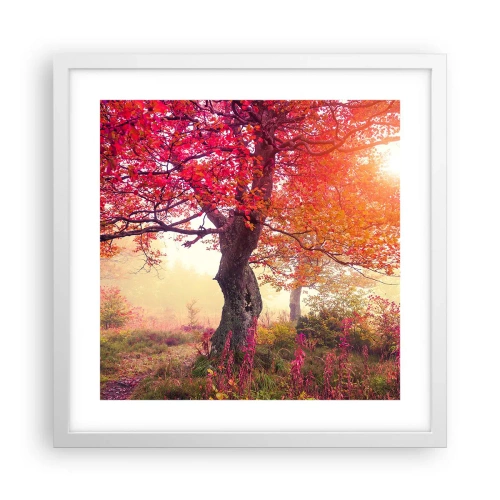 Poszter fekete keretben - Virágzás őrülete - 40x40 cm