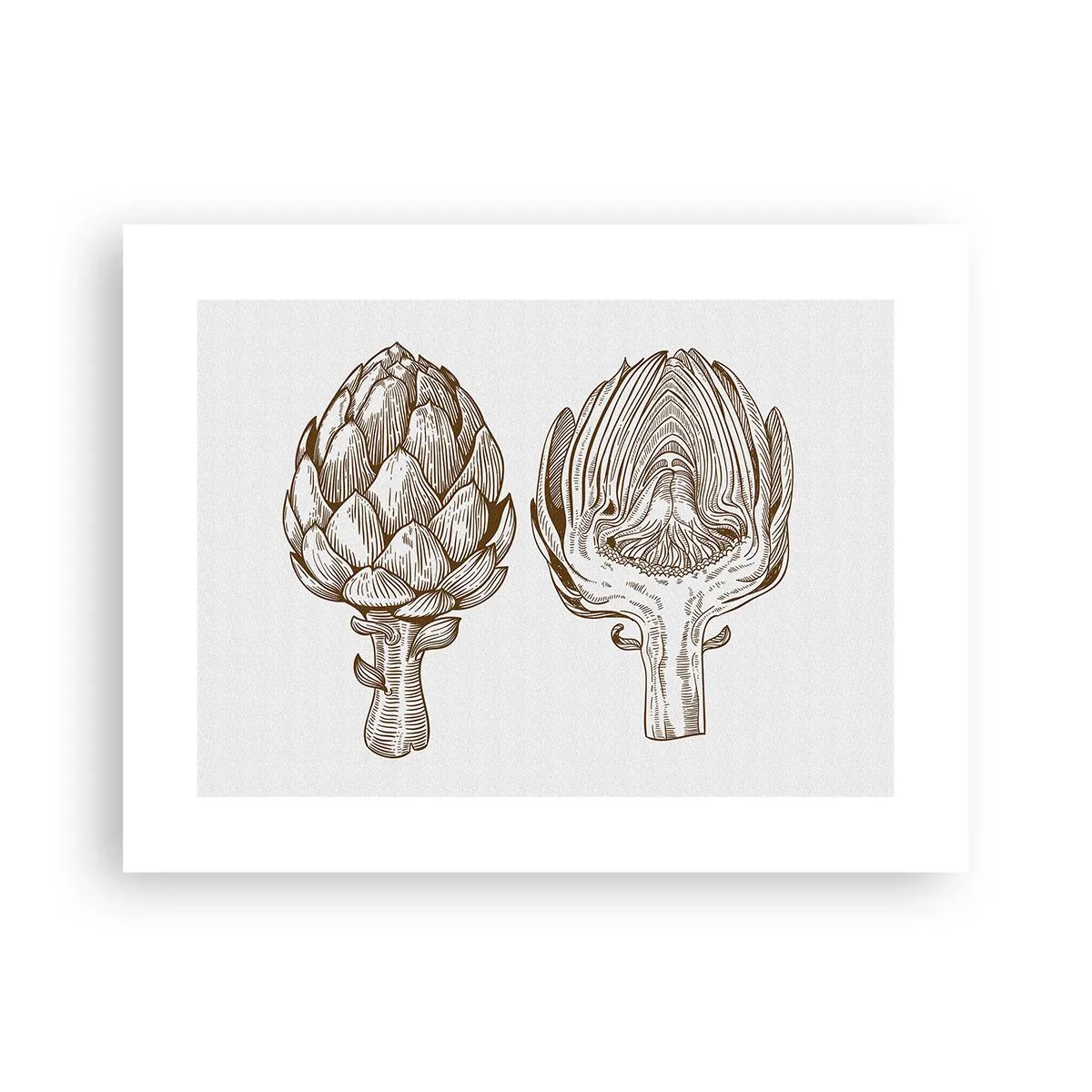 Poszter - Anatómia lecke - 40x30 cm