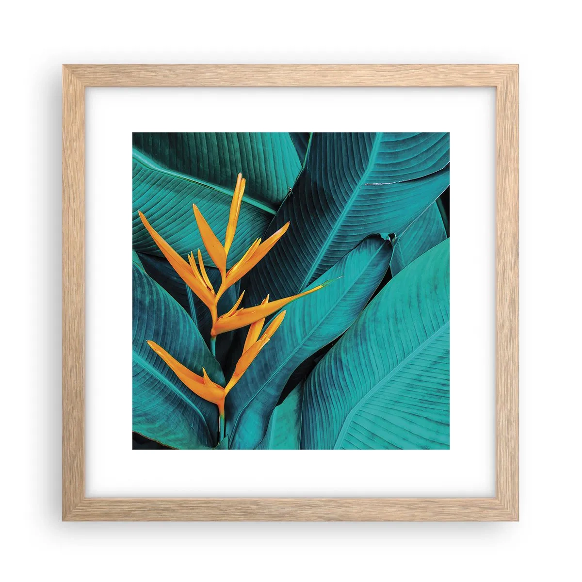 Poszter világos tölgy keretben - Éden virága - 30x30 cm