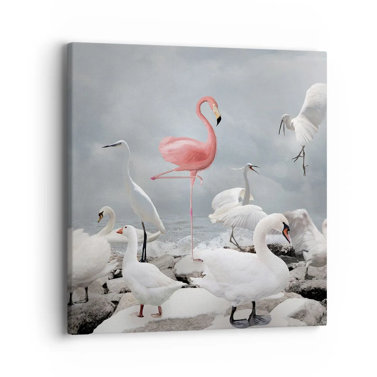 Vászonkép - Hogy kerültem ide? - 40x40 cm