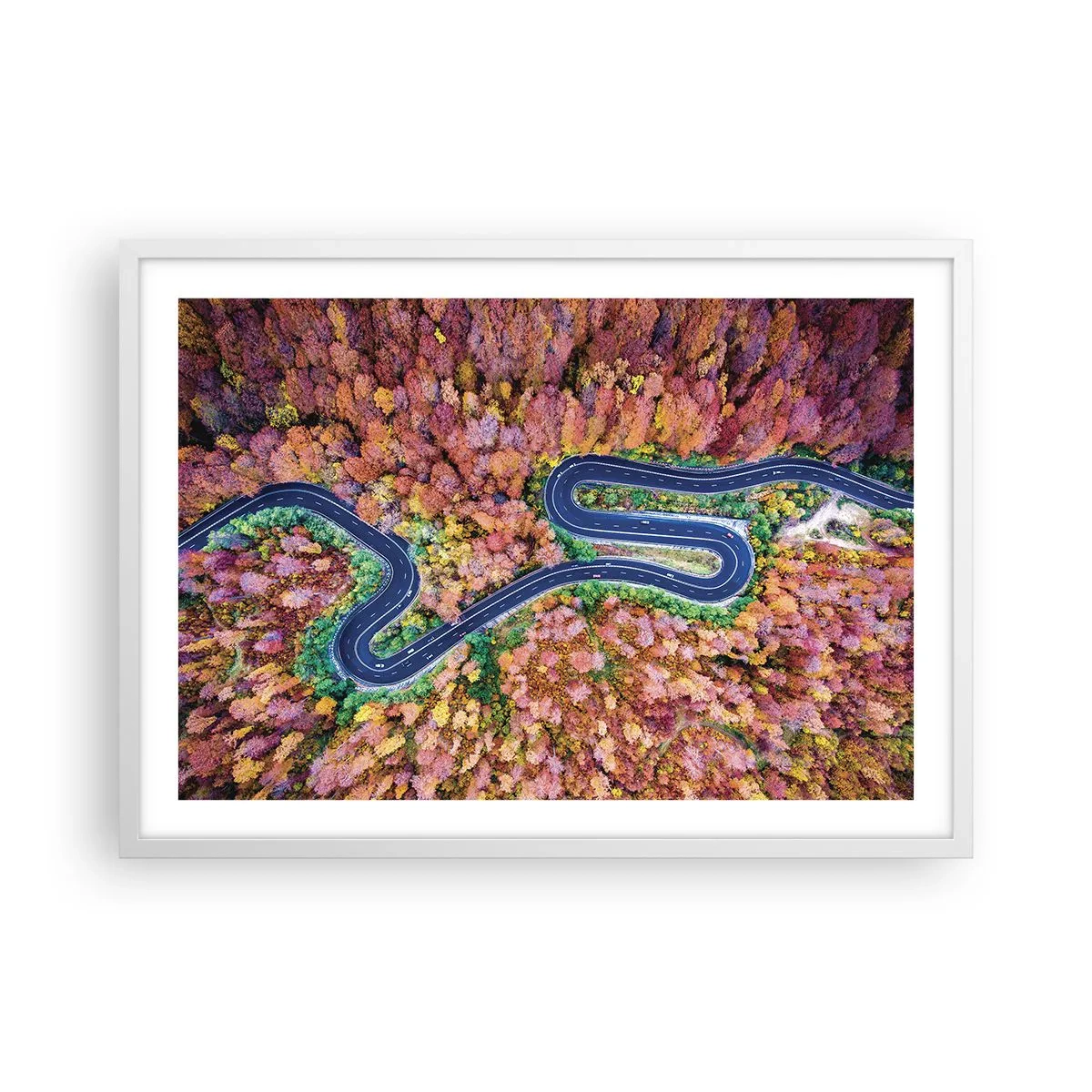 Poszter fekete keretben - Kanyargós út az erdőn keresztül - 70x50 cm