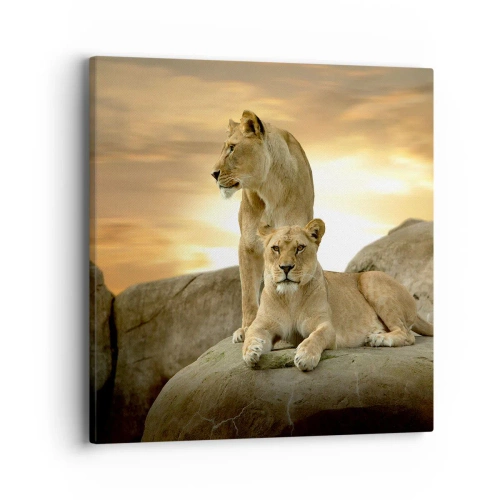 Vászonkép - Királyi felség - 40x40 cm