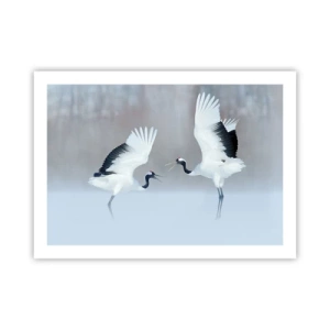 Poszter - Tánc a ködben - 70x50 cm